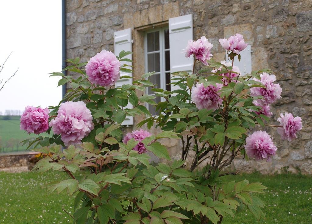 Bed and Breakfast Lacassagne Larressingle Zewnętrze zdjęcie